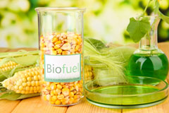 Pant biofuel availability